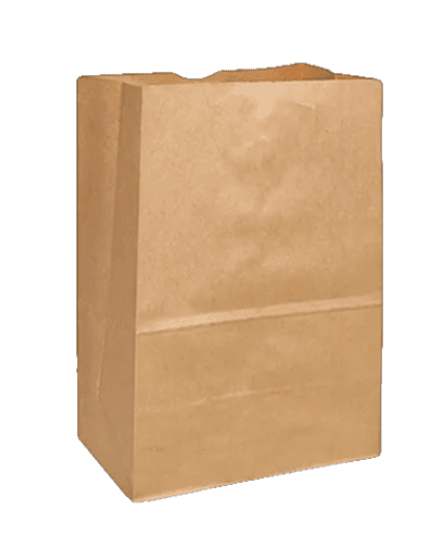 Bolsa kraft delivery grande